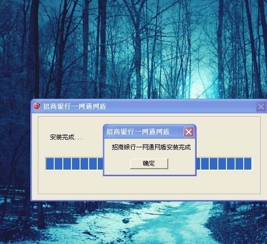 12306支付不了_12306手机购票怎么支付_支付12306宝