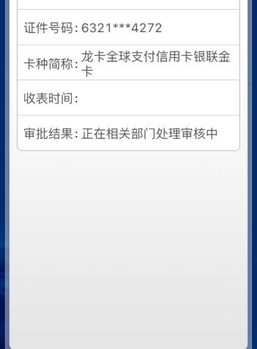 这样是正在审核吗电话征信过了