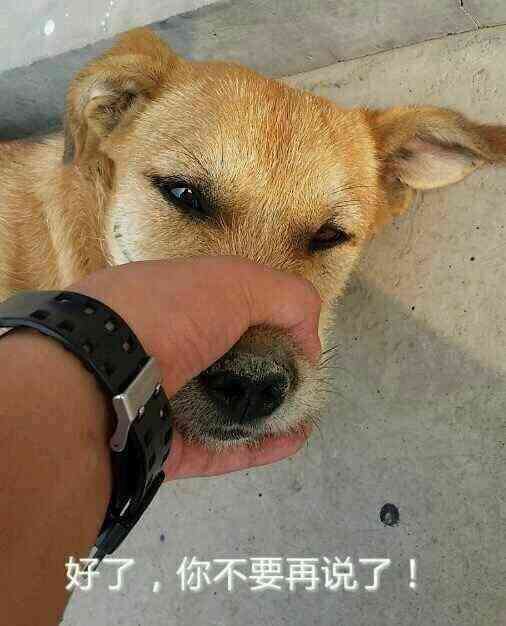 交通白麒麟注销两年现在怎么申请交通卡求赐教