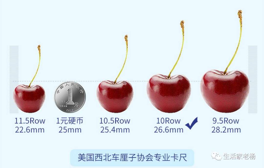 收藏美食攻略之车厘子