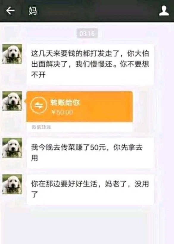赌到最后,坑的还是自己父母,唉