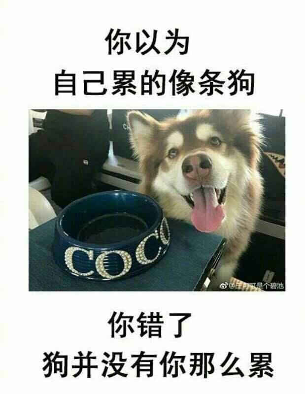 催收逾期都来听我说一句