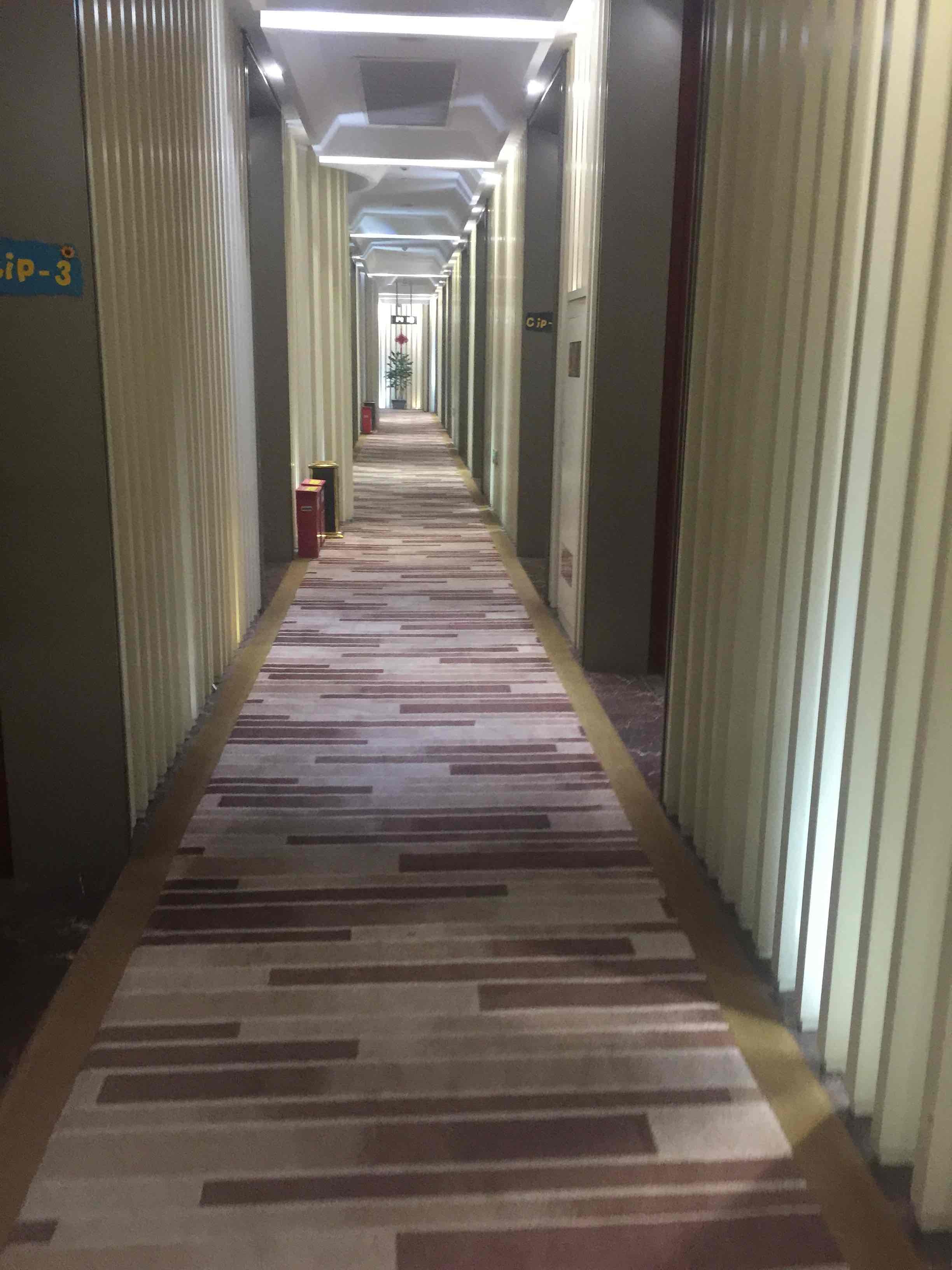 白麒麟合肥新桥机场贵宾厅