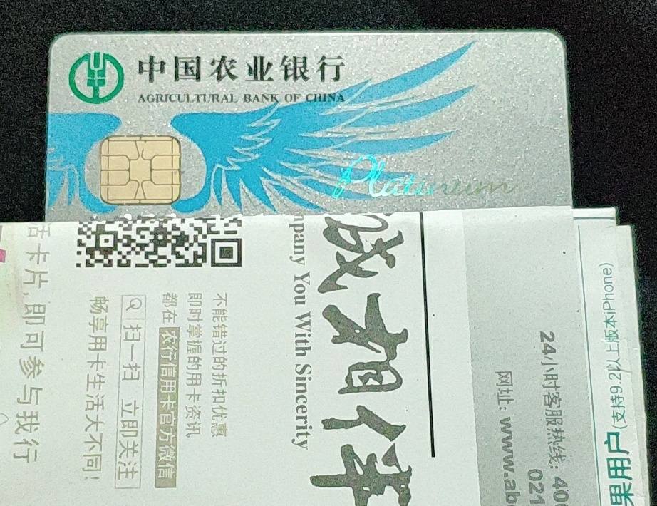 二卡农行悠然白两万五哈哈