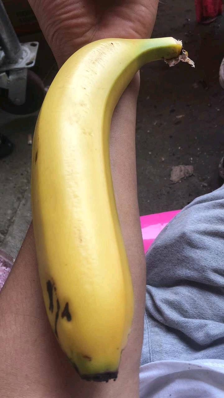 手臂粗的香蕉有想吃的吗