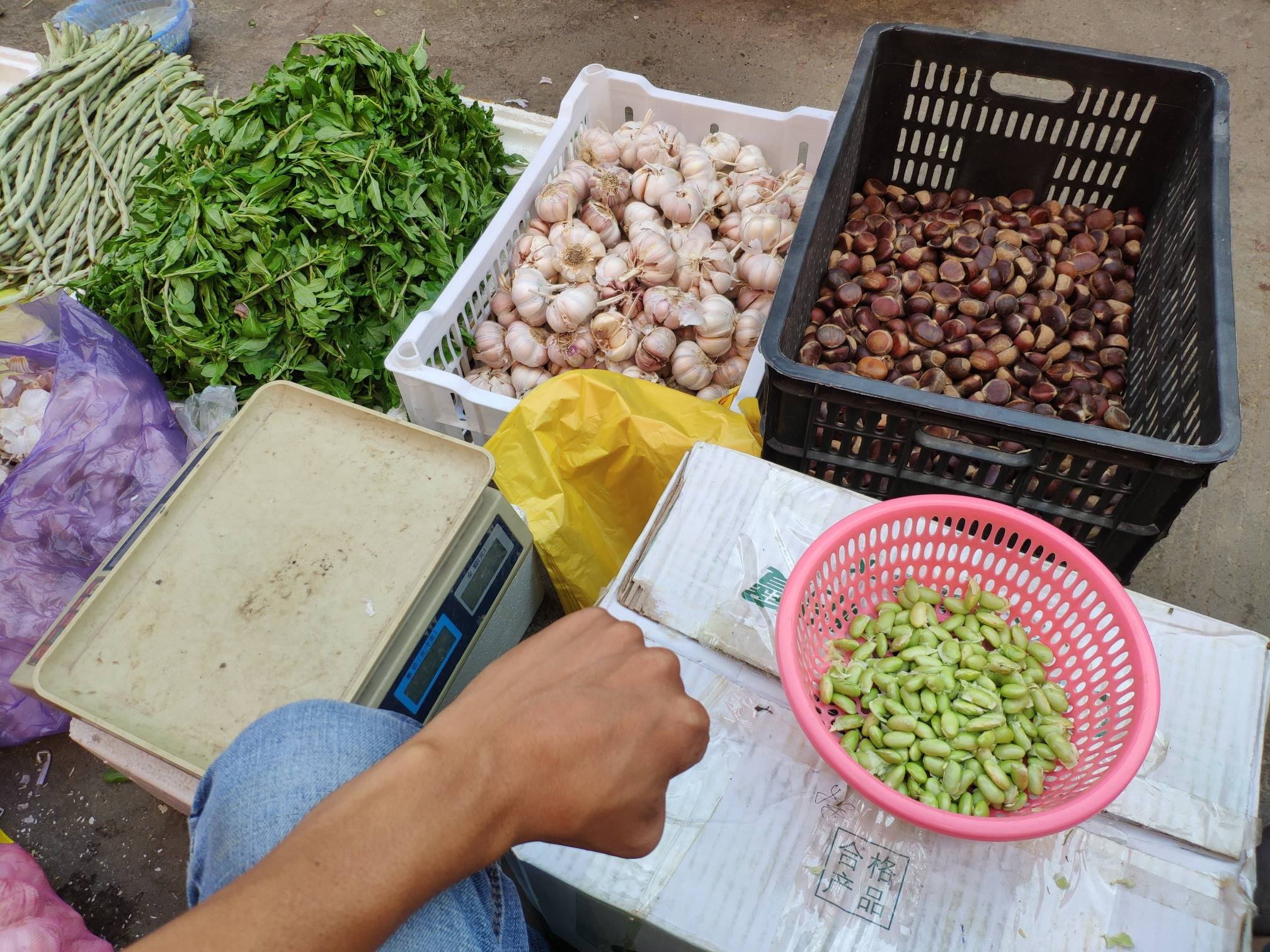 菜市场摆摊谋生计