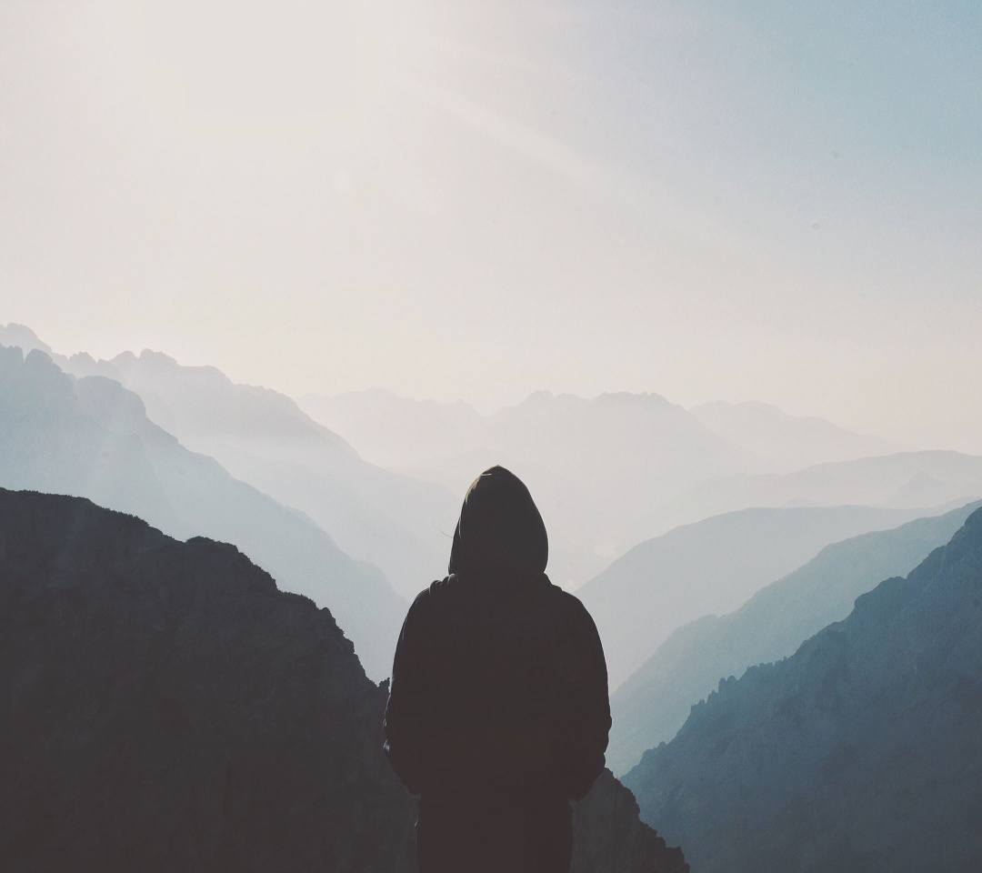 一年上岸立贴为证