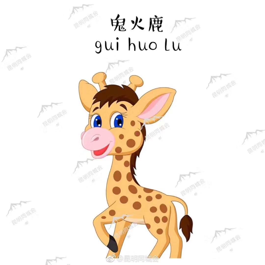 华夏有曲线成功的吗