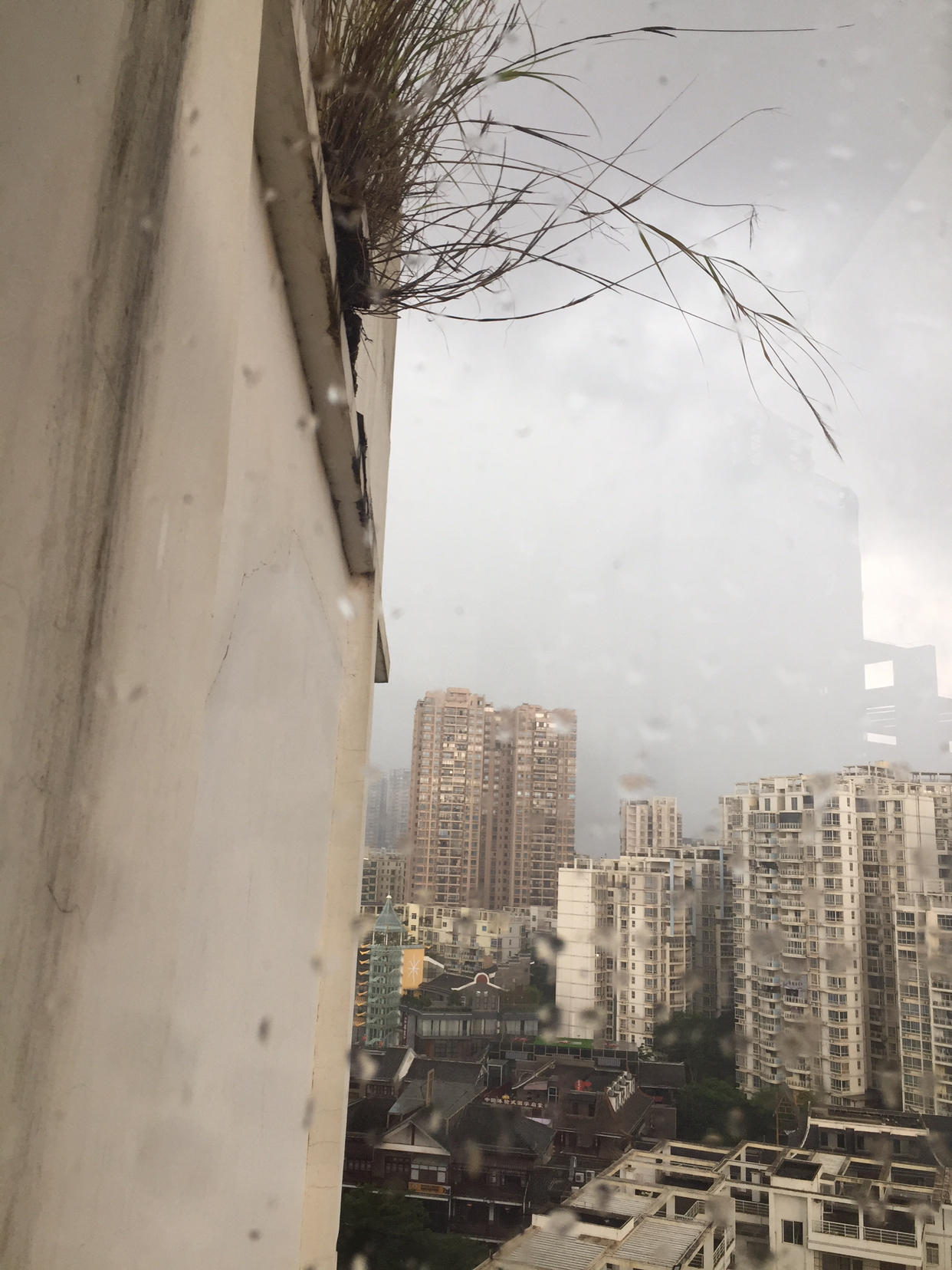 终于打雷下雨了