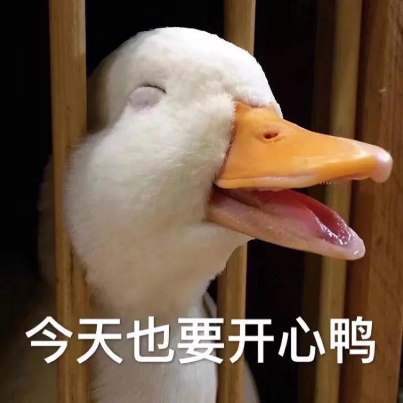24DCCFEEC73742828D10921DC95E5485.jpg